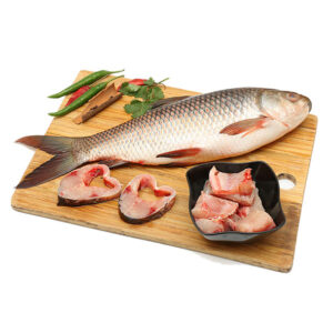 Premium Quality Fresh Rui Fish